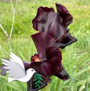 Meet your Posher, Elena